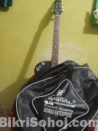 Guitar
